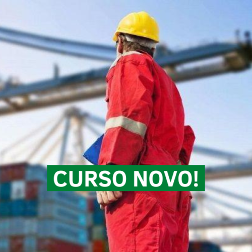 NR 29 – SEGURANÇA E SAÚDE NO TRABALHO PORTUÁRIO